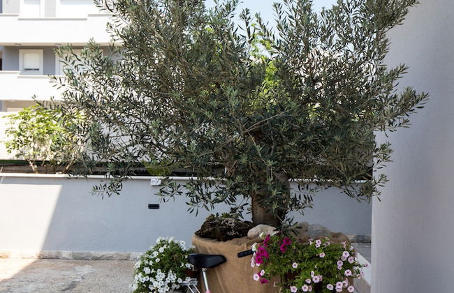 Apartments Siblings - New - Foto 57