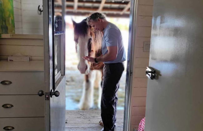 Woodhouse Cottages and Ranch - Foto 66