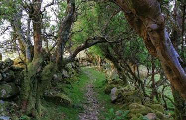 Lovely Stone Village cottage in Snowdonia - Foto 13