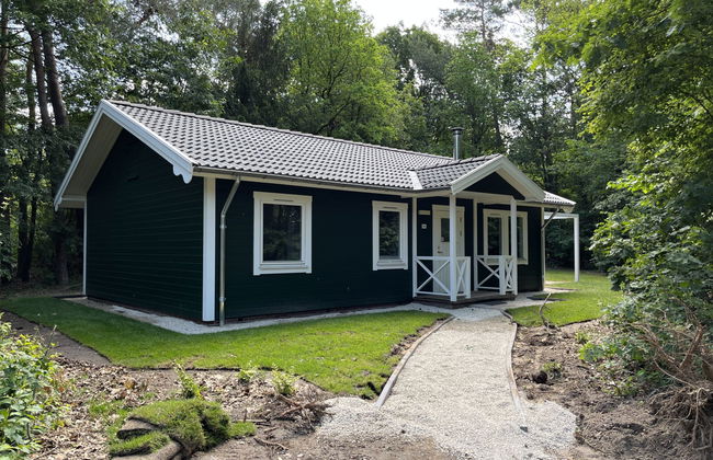 3 bedroom House in Dwingeloo with swimming pool and terrace - Photo 14