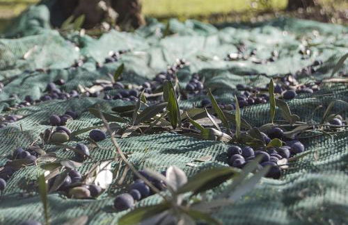 Antica Dimora Julia - Foto 44