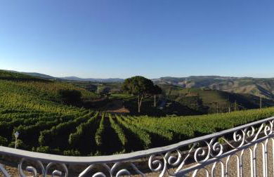 Quinta dos Espinheiros - Photo 116