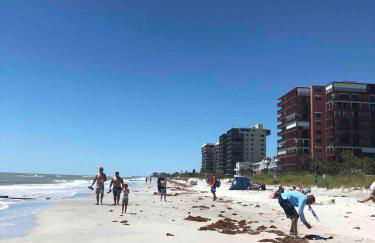 Tropical Oasis on the Gulf Coast - Foto 31