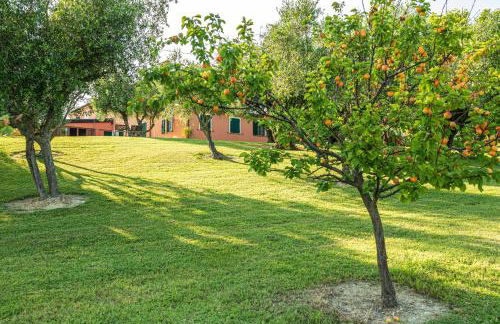 Agri Divin Amore - Foto 32