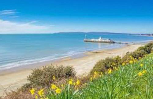 Holiday home in Furzehill - Photo 19