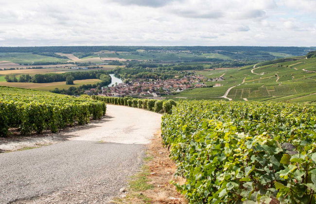 Tour del champán por Reims - Foto 2