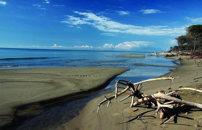 Agriturismo Giuncola e Granaiolo - Foto 19