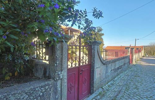 Casa De Vilar do Dão - Foto 42