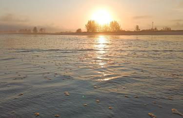 Casa Verde da Ari - Foto 16