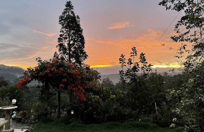 The Blossoms - Photo 33