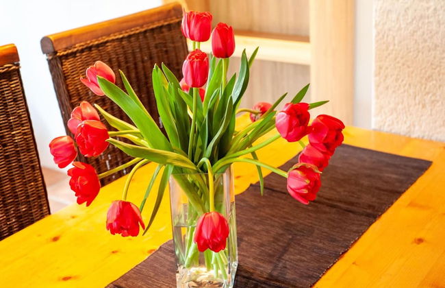 Apartment in Montafon Near Ski Lifts - Foto 27