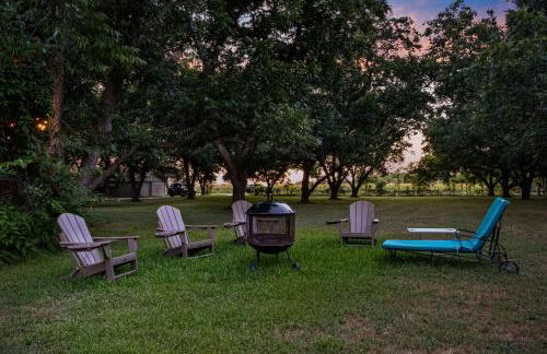 The Nut House - Foto 8