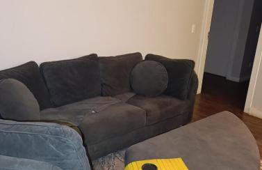 Ananda Multiverse Evolve 15' from the Botanical Garden - Foto 76