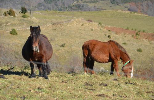 Casa Rural Mollo, Vall de Camprodon - Foto 56