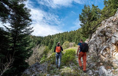 Moana House - Foto 35