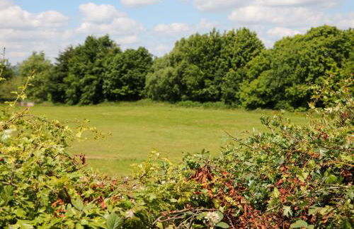 Basford View - Photo 21