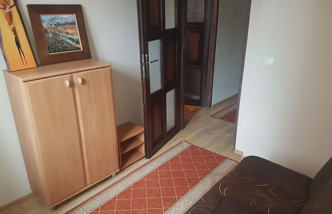 Apartamenty Dragon Elbląg - Foto 4