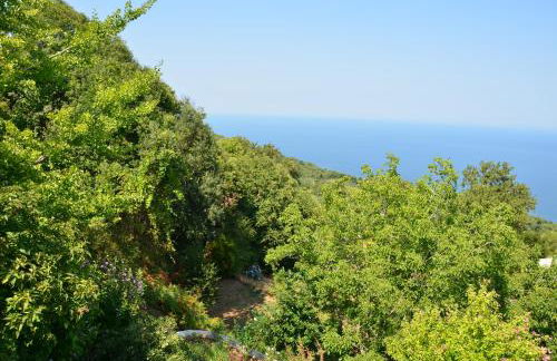 Sunray Luxury Apartment Zagora with piano - Foto 37