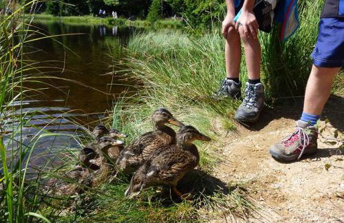 Ferienhaus Hornauer - Foto 29