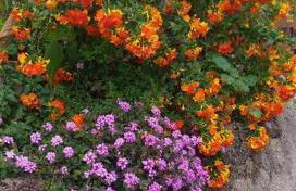 Apartment with Huge Deck Nestled in Marvelous Gardens - Nidos - Foto 9