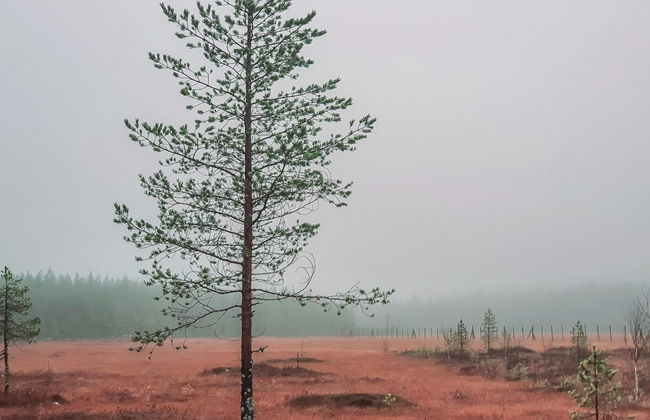 Domnan pirtti - Foto 31