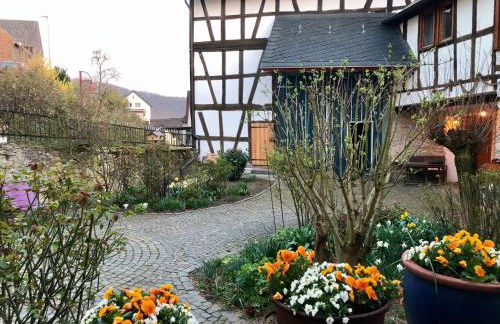 Gut Bunt Ferienhaus - Photo 28