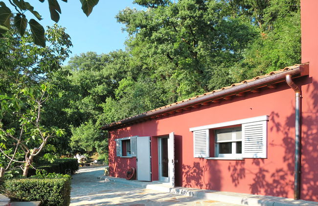 L'Orlo del Bosco - Foto 23