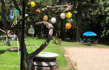 Le moulin de mon coeur - Photo 30