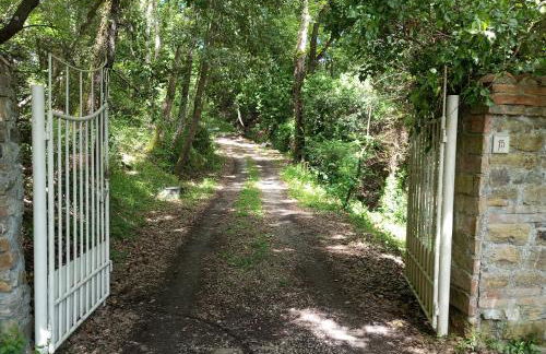 Il Bosco del Lebbio - Foto 26