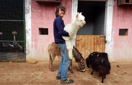 La Fattoria Delle Tartarughe - Foto 28