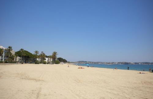 Port Marino II - Bajo - Photo 16