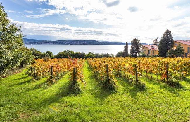 House In The Vineyards - Foto 23