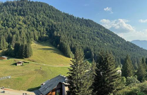 2-bed appt 20 mins from Morzine Portes du Soleil French Alps - Foto 33