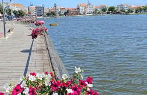 Villas Terrace Apartment - Foto 31