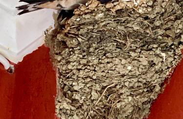 Dielino Amazing Sunset View - Foto 6