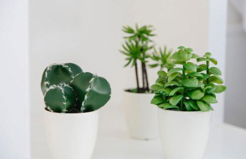 Stadthaus Regensburg - Foto 18