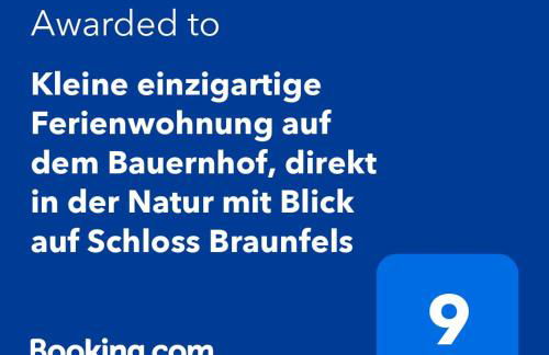 Kleine einzigartige Ferienwohnung auf dem Bauernhof, direkt in der Natur mit Blick auf Schloss Braunfels - Foto 31
