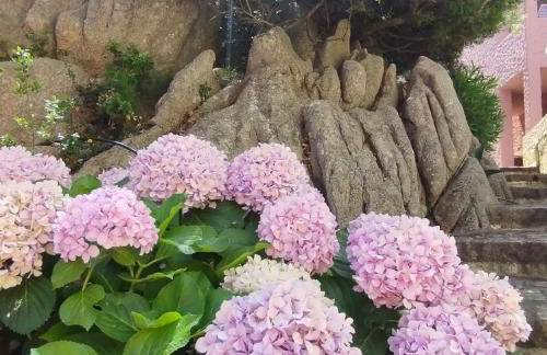 Seaside Apartment Baja Sardinia - Rent From August 8, 2026, to August 29, 2026 - Foto 42