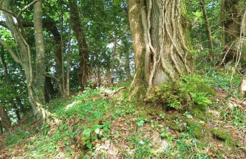 The Count House - Foto 58