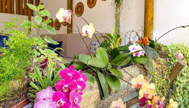 Aldeia Corumbau - Foto 5