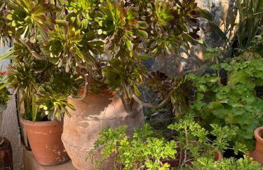 Pella in Istron - Foto 20