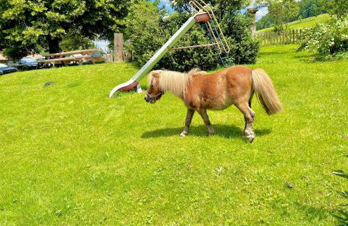 Ferienwohnung Weideblick - Photo 30