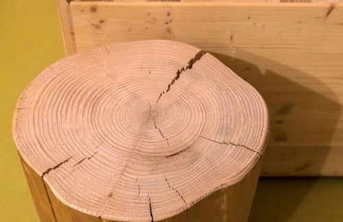 Saunaloft Schwarzwald - Foto 25