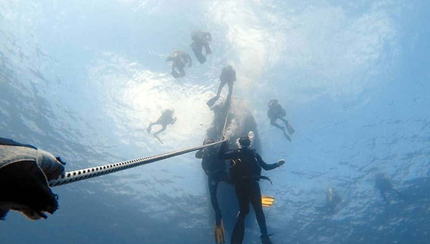 Scuba diving in Lanzarote