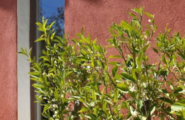 La Maison d'Allouma - Foto 22