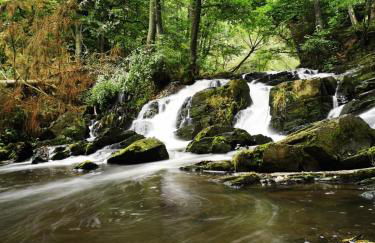Ihre Auszeit am Golfplatz - Foto 34