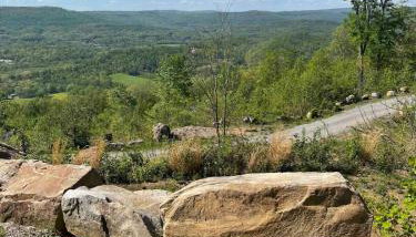 Harper Tree Top - Foto 3