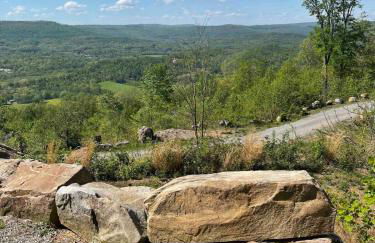 Harper Tree Top - Foto 3