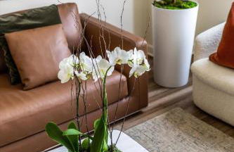 The Lumber Baron's Mansion: 2 King Suites, 2.5BA + Gym - Foto 46