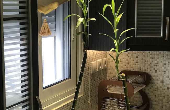 Suite Drakos Honey - Photo 5